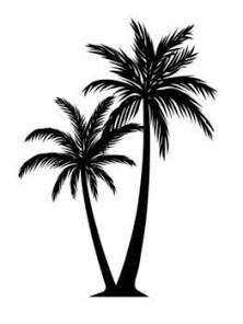 Palm Trees Silhouette